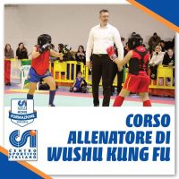 Zen Shin Club Italia asd Scuola Kung Fu Wushu Roma Lazio Italy Formazione Giudici