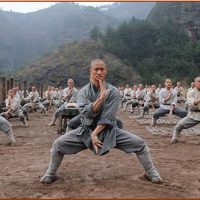Zen Shin Club Italia asd Scuola di Arti Marziali Wushu Kung Fu a Roma Lazio Italy Monaci Shaolin